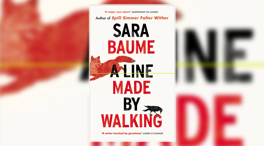Line Made by Walking – questions and activities for readers | National Centre for Writing