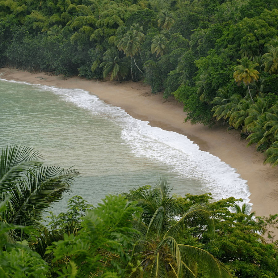 Trinidad Ayanna Lloyd Banwo