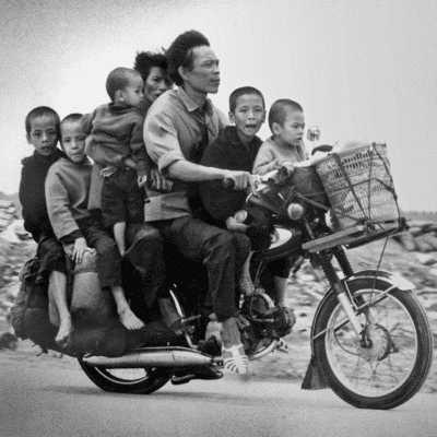 Phương Anh Nguyễn's Vietnamese translation