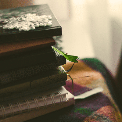Pile of notebooks - Routine Q&A with Sarah Bower Photo by pure julia on Unsplash