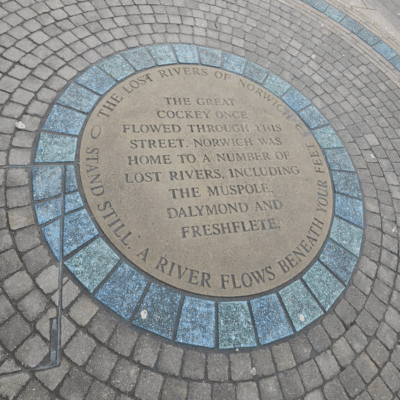 To lose a river Wen-yi Lee - Norwich's lost rivers