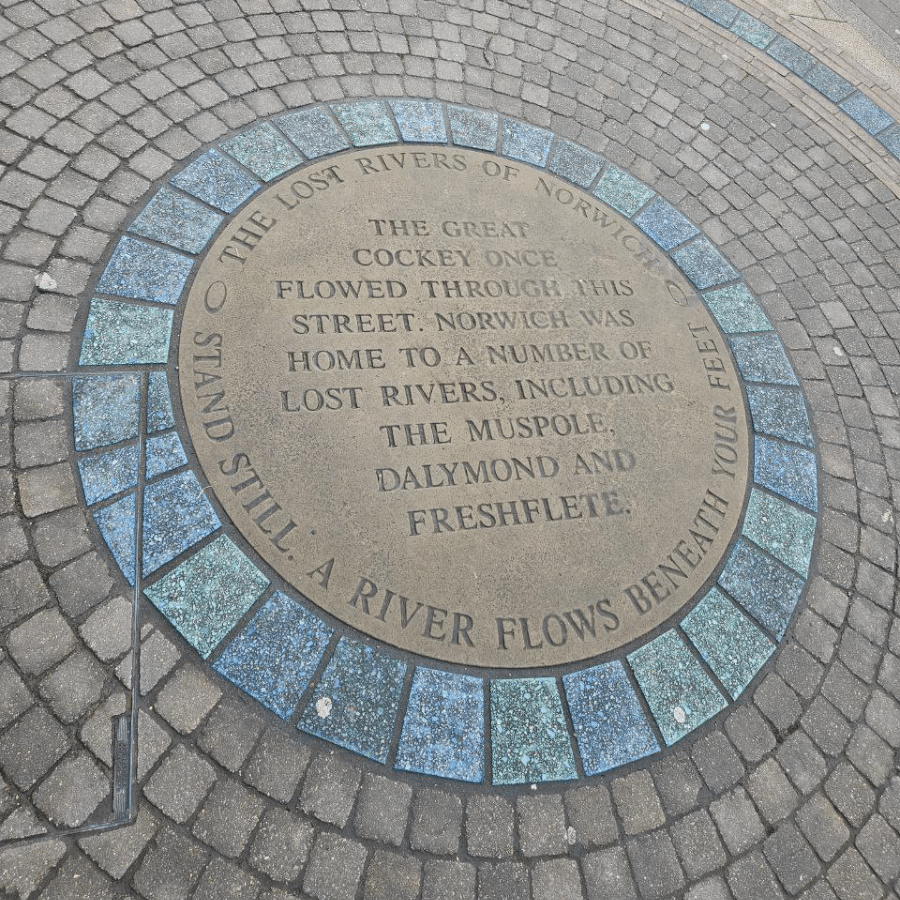 To lose a river Wen-yi Lee - Norwich's lost rivers